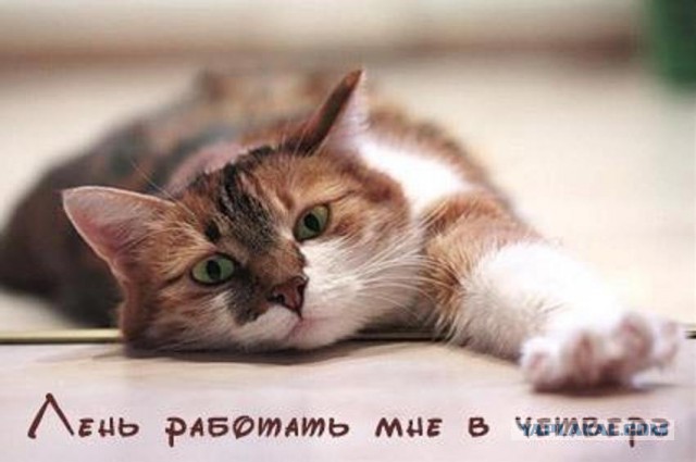 В погоне за ЮКой