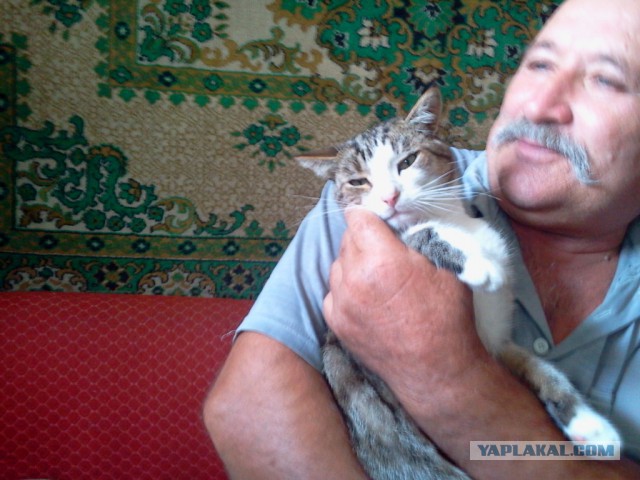 Котовторник 15-09-2015 !