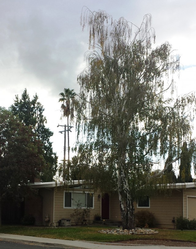 Деревенская Америка