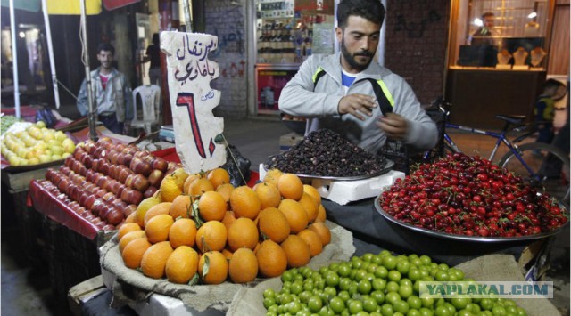 Сирия взамен Турции начала организованные поставки овощей и фруктов в Россию