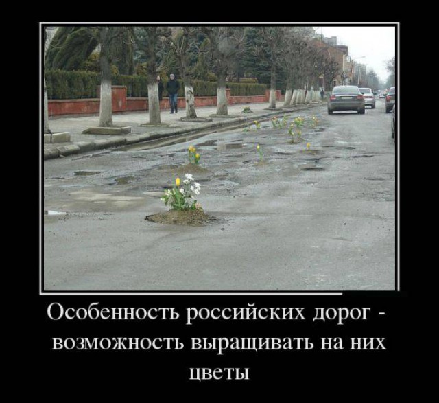 Подборка веселых картинок на выходные