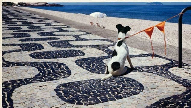 Картинки из Интернетов, прикольные и не очень