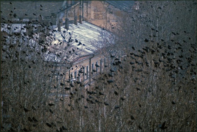 Одесса в 1982-м году