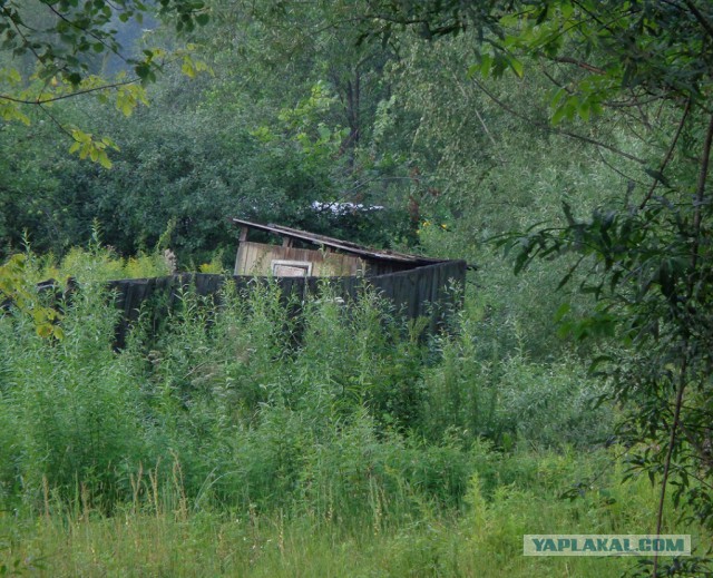 Подборка "тёплых, уютных, домашних" фотографий. Часть 8