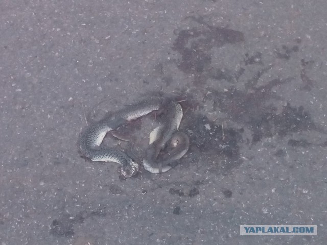 Одно фото из отпуска.