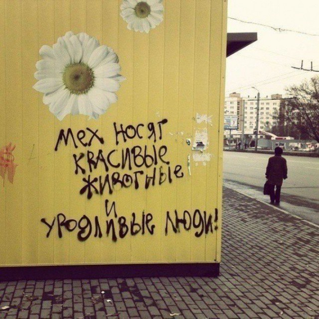 О шубе. О шубке норковой