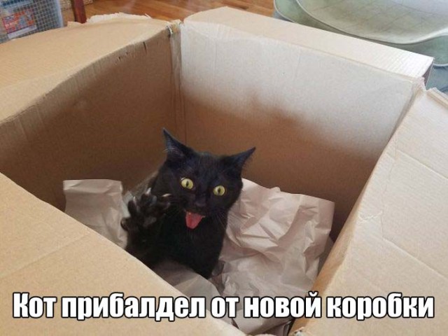 Фото всякое разное