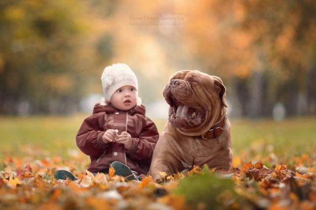 Мы с лучшим другом: фотографии детей и их больших собак