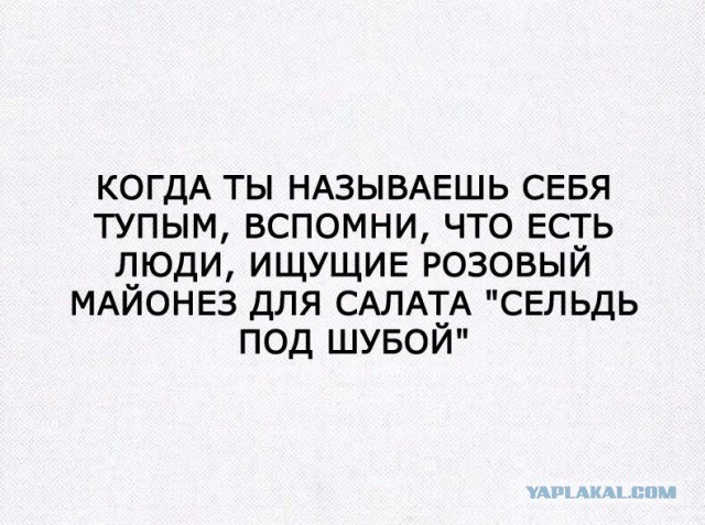 Соцсети и эти ваши интернеты