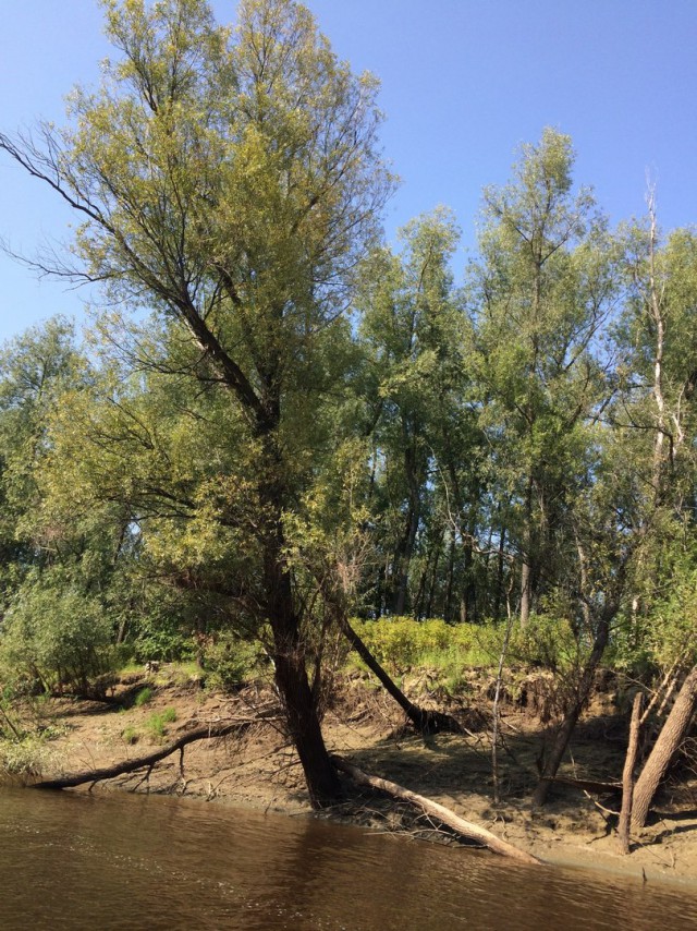 Рыбалка Демьянка-2 2017