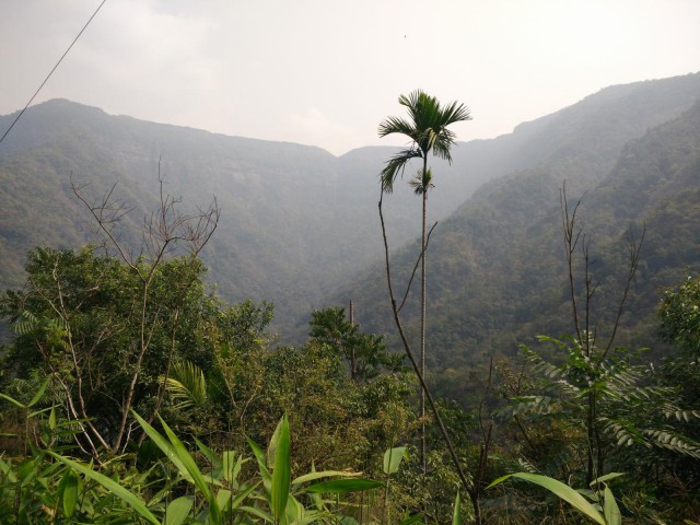 К живым мостам и обратно. Заметки из Индии