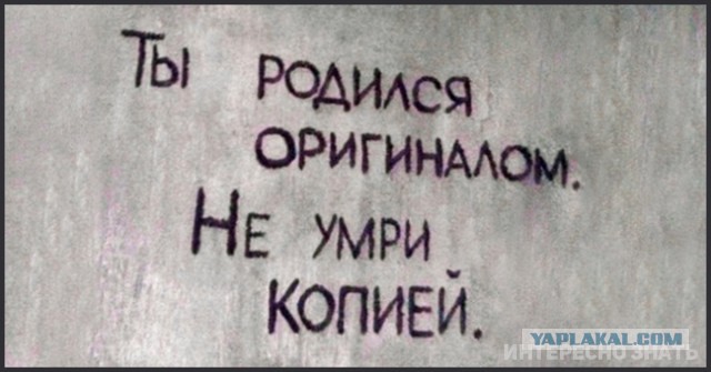 «Бродячие» философы: 17 глубокомысленных заметок в транспорте и на улицах