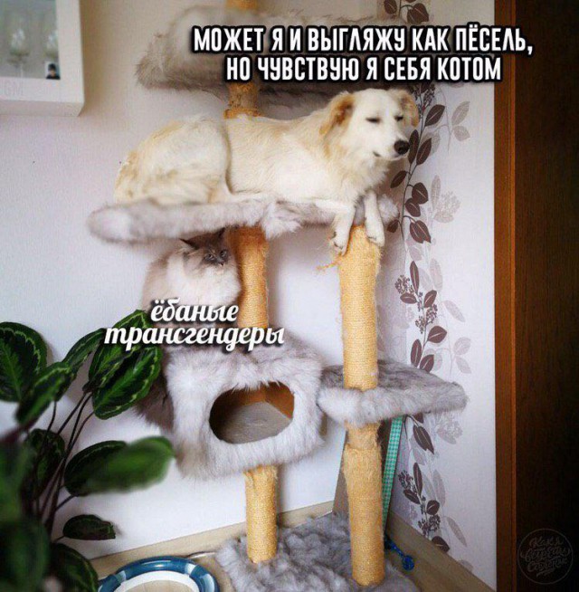 Хоба! Новости-хреновости подъехали