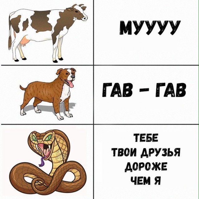 КартинкО на воскресенье