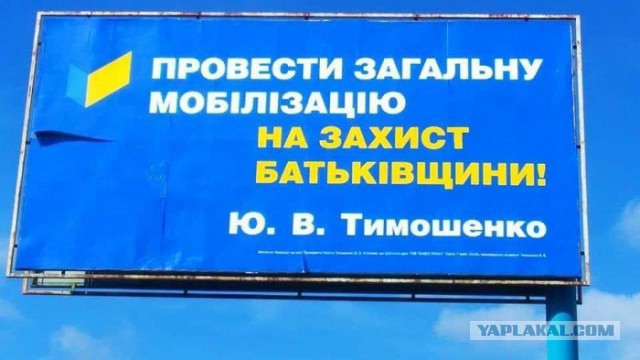 Так выглядит неразрезанный бюллетень на предстоящих президентских выборах на Украине. 39 кандидатов