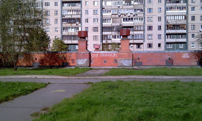 Асфальт, стены, заборы... Так пить или жить?