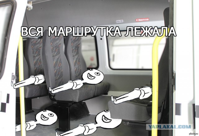 Сама виновата