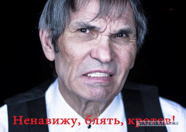Немного картинок с надписями и без - 10