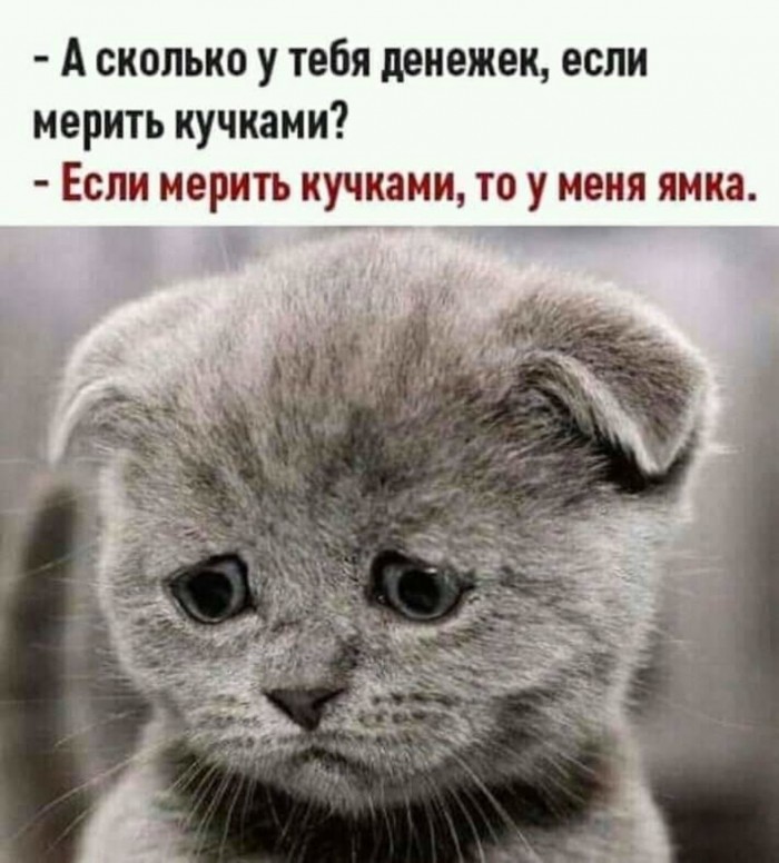 Чуток картинок. 30.01.20