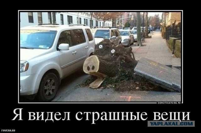 Тульские бабушки затравили российскую порнозвезду