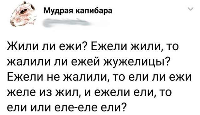 Свинегрет: картинки, надписи и прочее на 28.04 или №22