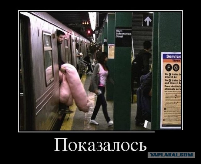 Немного слегка пошлых картинок с надписями 16+ (10.06)