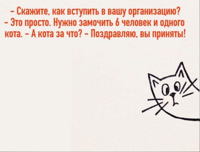 О жадных мужчинах. Или умных? (Немного мата)