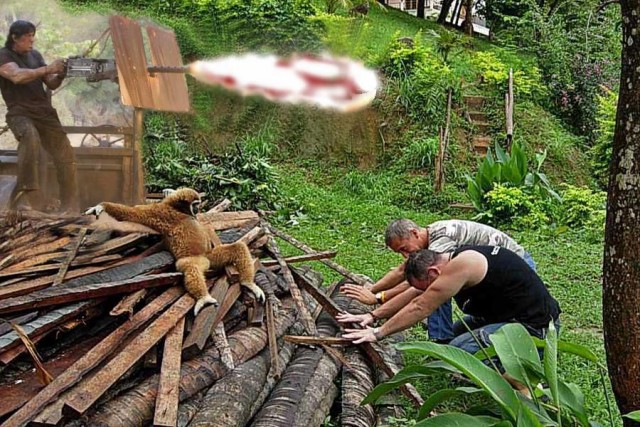 Фотожаба: "Олигарх из джунглей"
