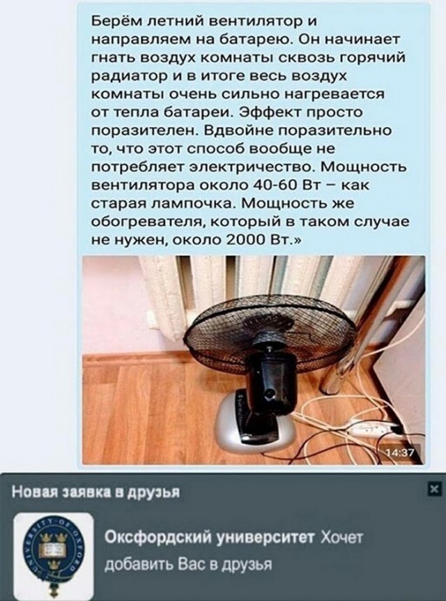 Немного картинок для настроения 04.10.20