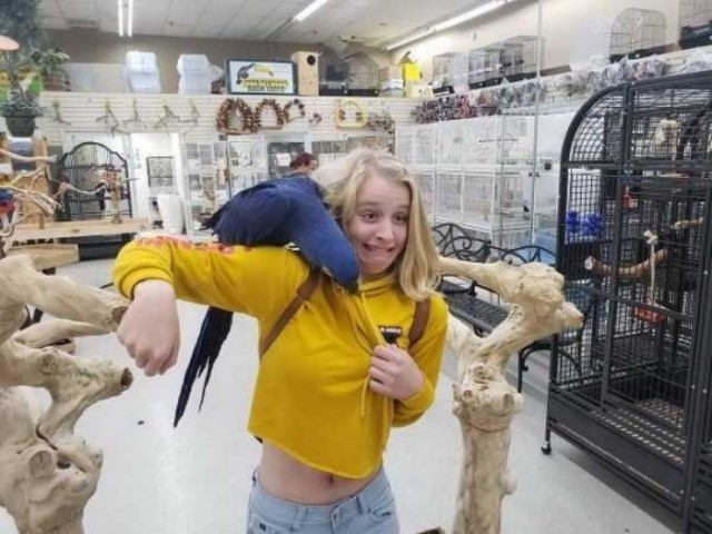 Всякая всячина