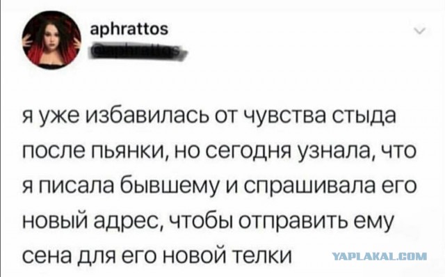 Картинки с надписями и всякие жизненные фразы