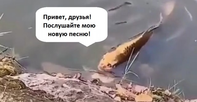 Рыба с чертами человеческого лица