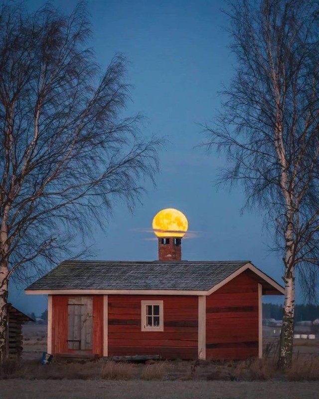 Давно не было солянки из картинок