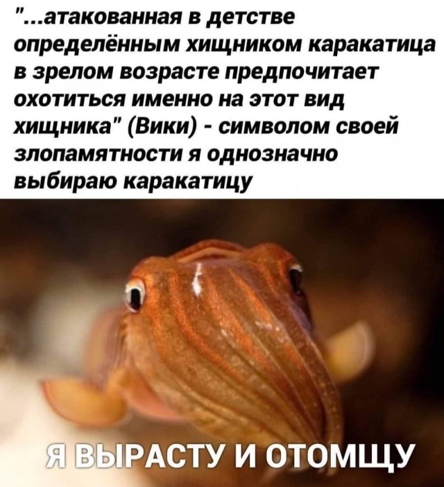 Бредзона 15.02.21