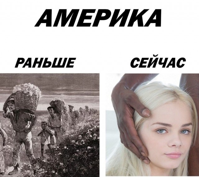 Весёлый полтишок 7.04
