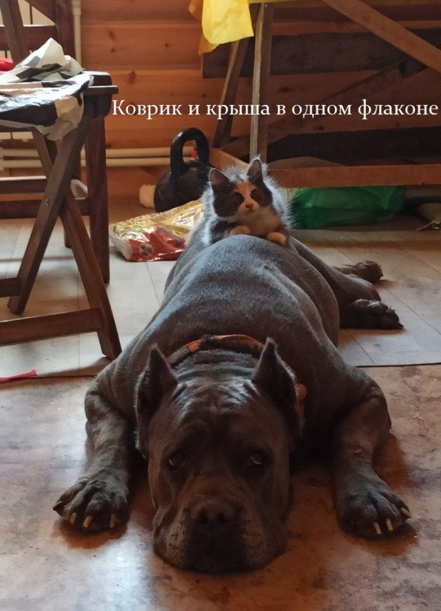 Картинки с надписями и всякие жизненные фразы 29.05.21