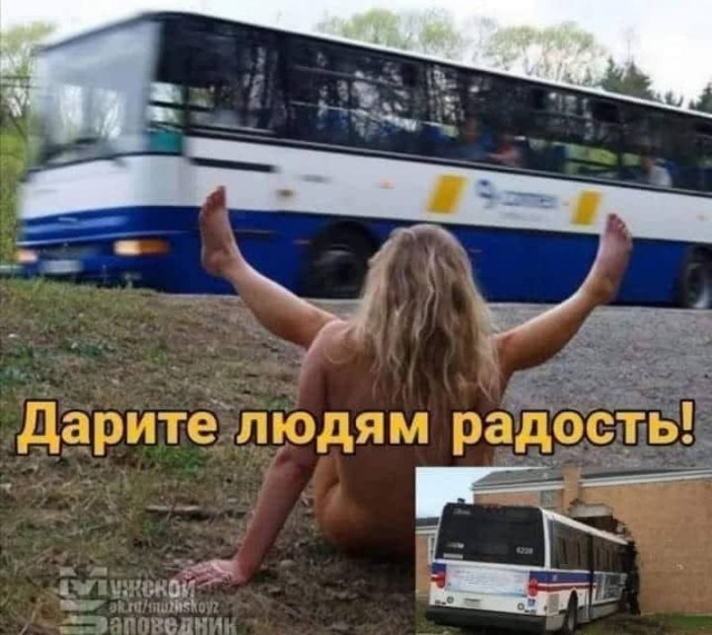 Всяческие картинки 09.07.2021