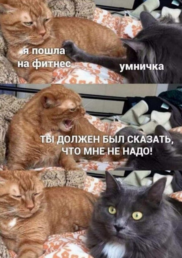 Картинки и мемы для настроения 19.08.2021