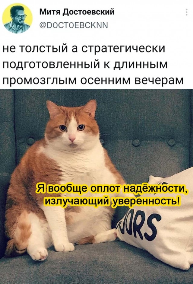 Так себе картинки 07.09.21