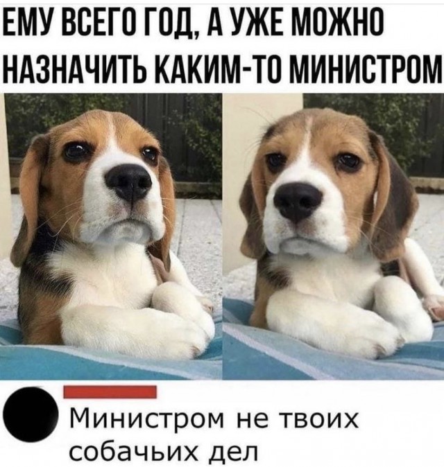 Так себе картинки 15.10.21