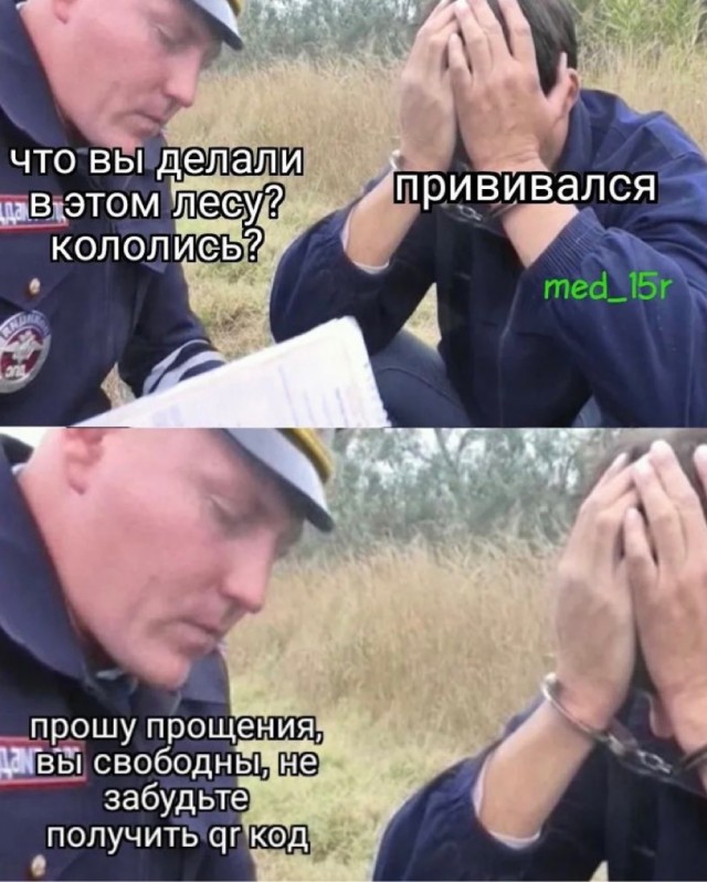 Всяческие картинки 22.11.2021