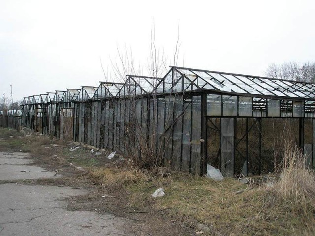 С приветом из Донбасса