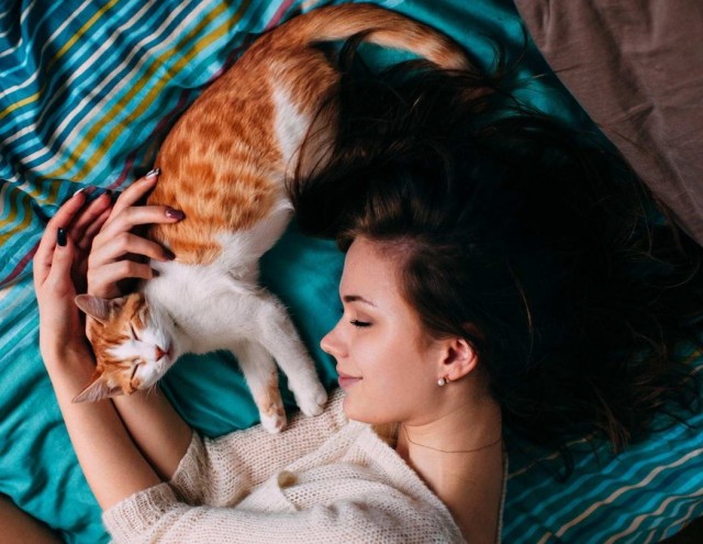 Девушки котовторника