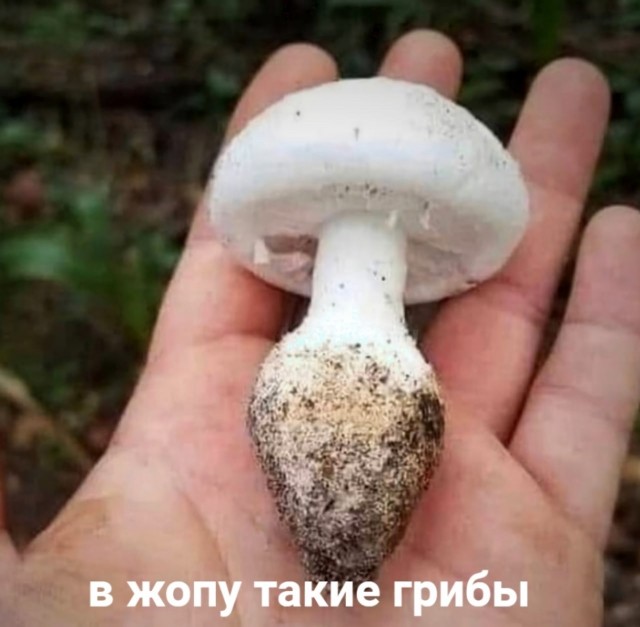 Всякой Хни вам в ленту, дорогие деграданты...
