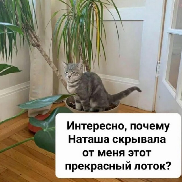 Картинки и мемы, всем отличных выходных