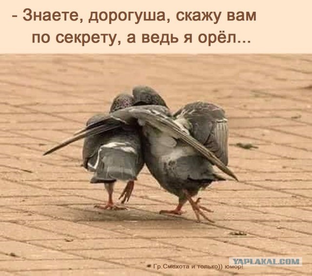 Переоцененная Алла Пугачева.