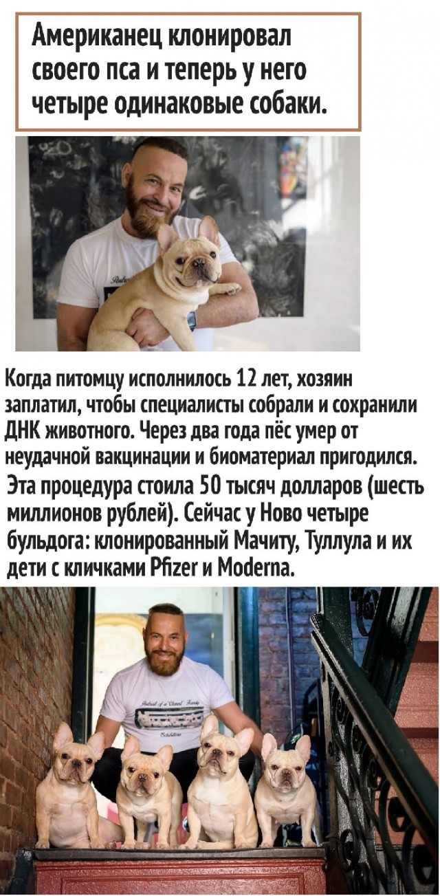 Картинки с надписями и всякие жизненные фразы
