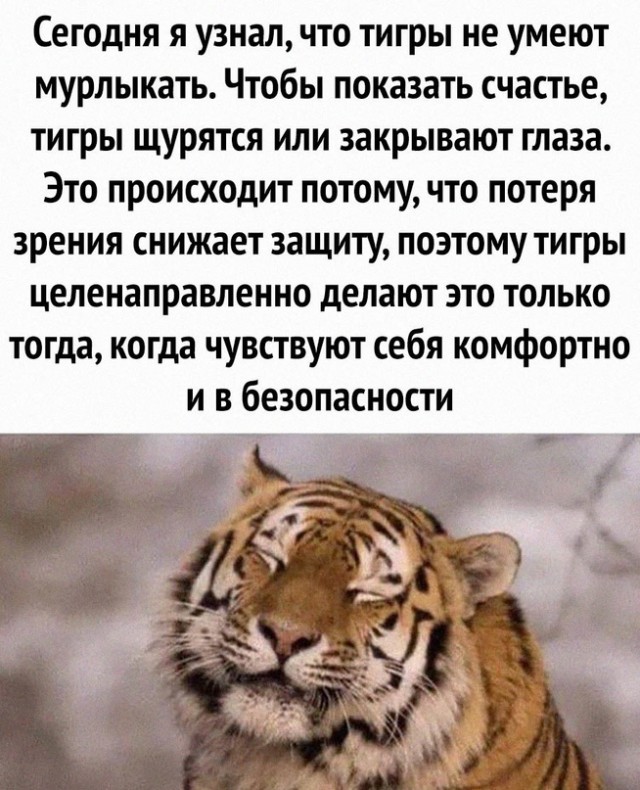 Картинки и мемы для настроения. Выходные близко...