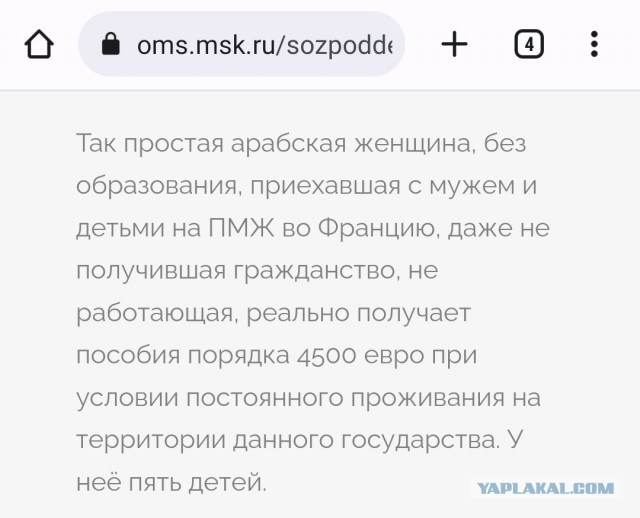 Россиян призвали заводить трех и больше детей