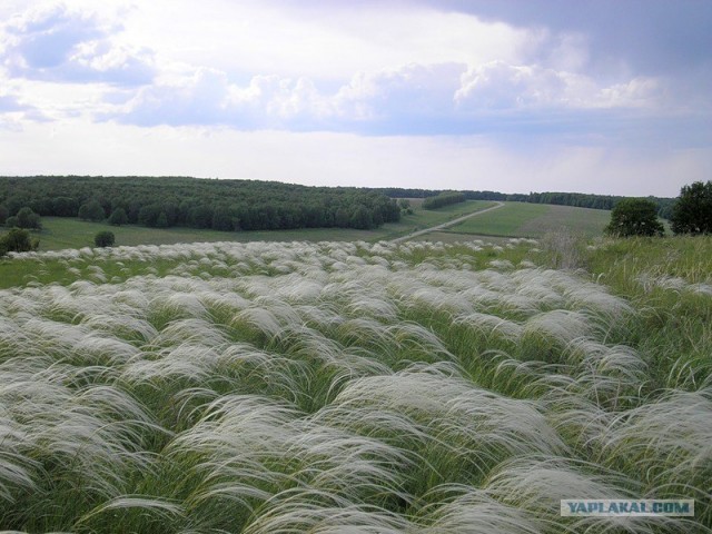 Деревенская Америка